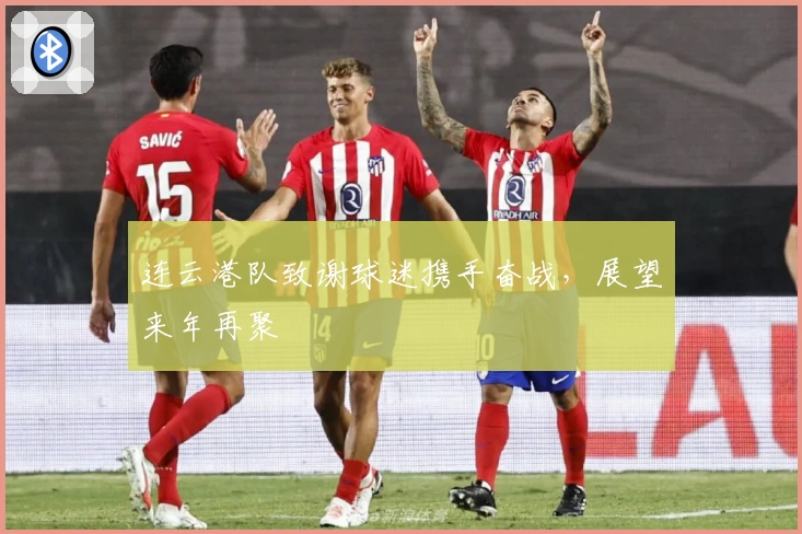 连云港队致谢球迷携手奋战，展望来年再聚