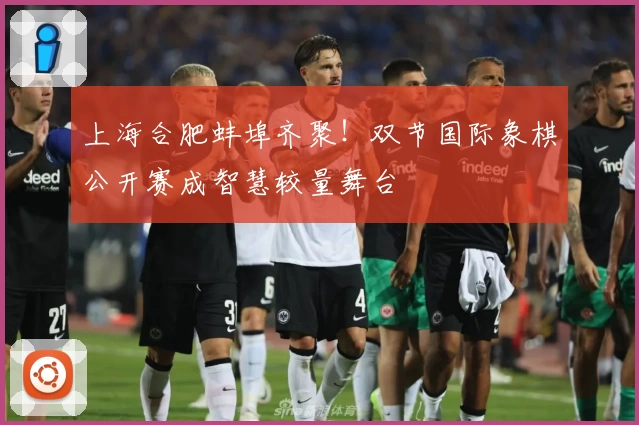 上海合肥蚌埠齐聚！双节国际象棋公开赛成智慧较量舞台
